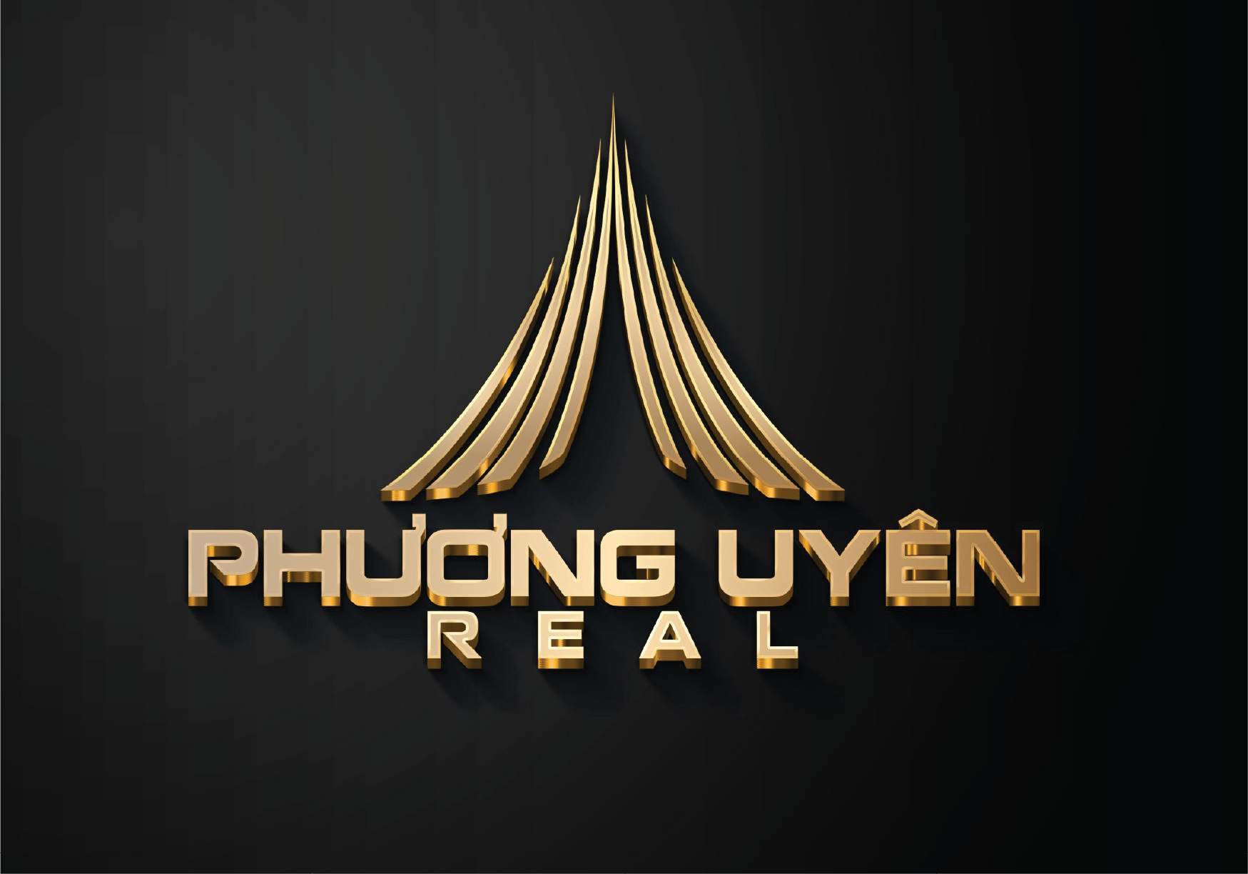 lĩnh vực hoạt động